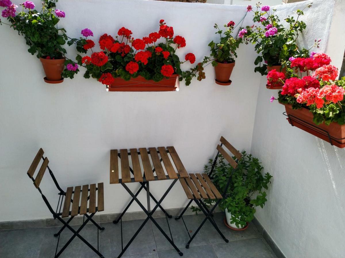 Apartamento Entero "El Casco Antiguo" Vt-46811-V ハティバ エクステリア 写真